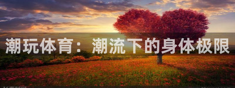 JJB竞技宝官网下载官方客服电话：潮玩体育：潮流下的