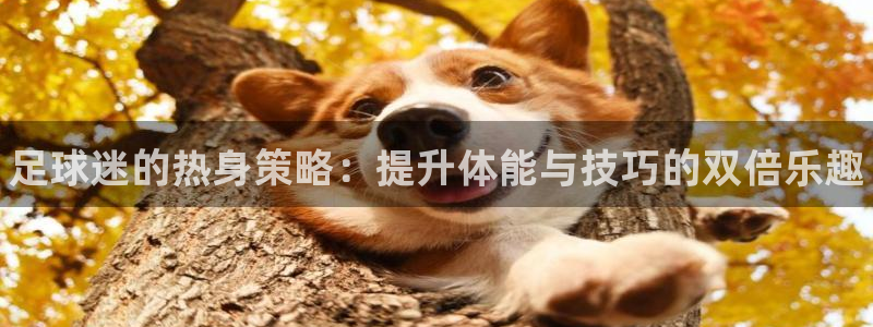 JJB竞技宝官网下载平台是正规平台吗知乎：足球迷的热
