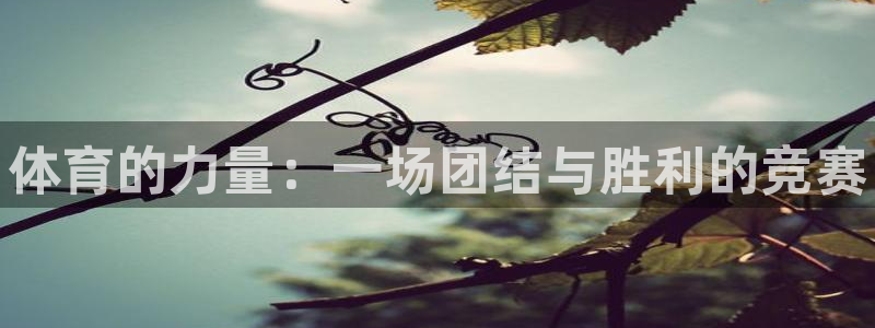 JJB竞技宝官方正版app集团官网网址：体育的力量：
