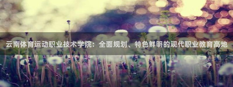 JJB竞技宝官方正版app娱乐下载：云南体育运动职业