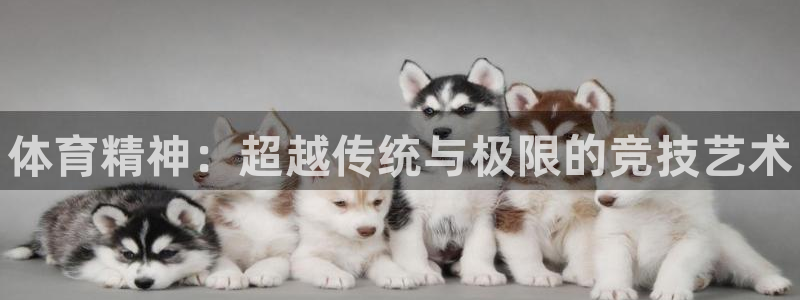 JJB竞技宝官方正版app集团官网首页：体育精神：超