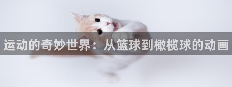 JJB竞技宝官方正版app五金厂：运动的奇妙世界：从