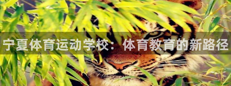 JJB竞技宝官方正版app娱乐首页网站大全：宁夏体育