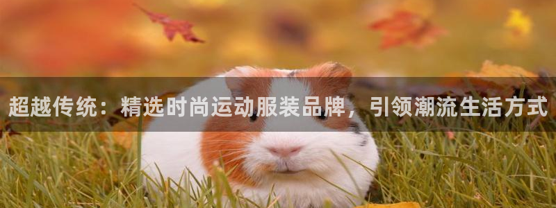 JJB竞技宝官方正版app代理：超越传统：精选时尚运