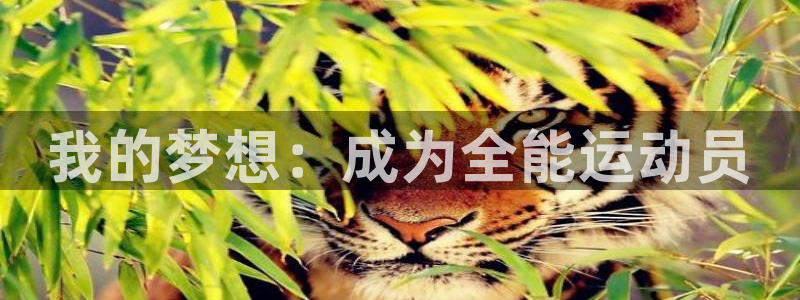 JJB竞技宝官方正版app集团官网首页：我的梦想：成