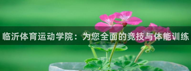 JJB竞技宝官方正版app集团官网首页网址