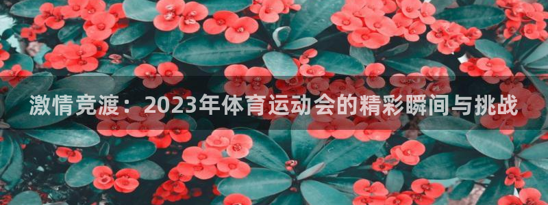JJB竞技宝官网下载招商电话号码查询是多少：激情竞渡：202