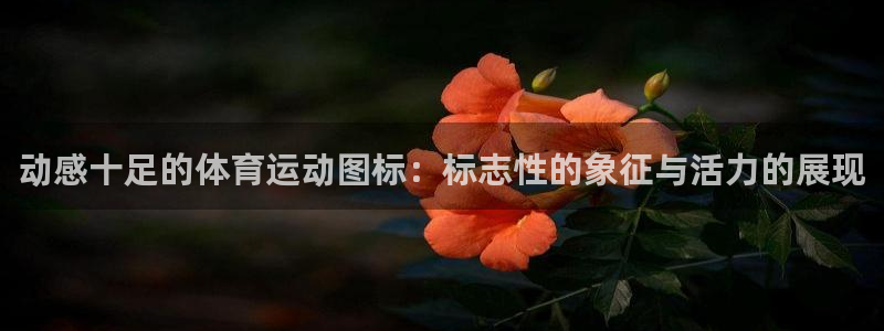 JJB竞技宝官网下载招商电话是多少啊：动感十足的体育