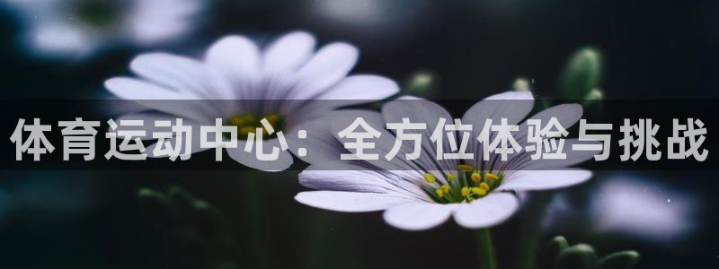 JJB竞技宝官方正版app新能源：体育运动中心：全方