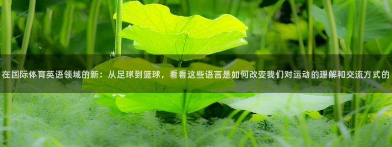 JJB竞技宝官方正版app集团简介：在国际体育英语领