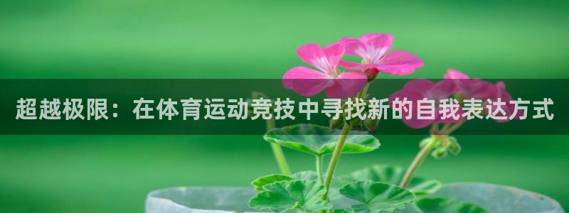 JJB竞技宝官网下载平台是正规平台吗安全吗：超越极限