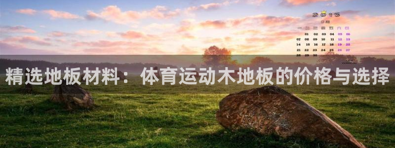 JJB竞技宝官网下载娱乐：精选地板材料：体育运动木地