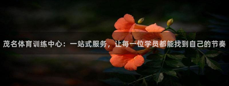 JJB竞技宝官方正版app神州：茂名体育训练中心：一