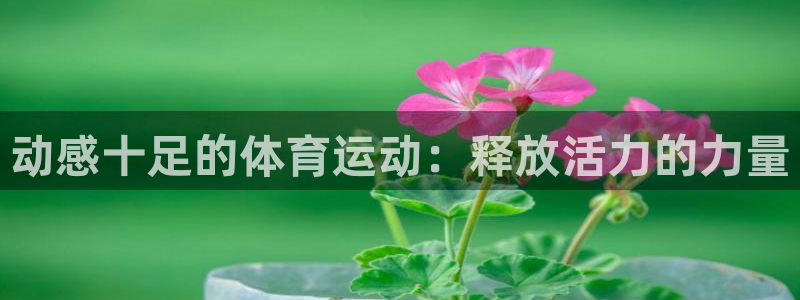 JJB竞技宝官方正版app集团官网首页网址