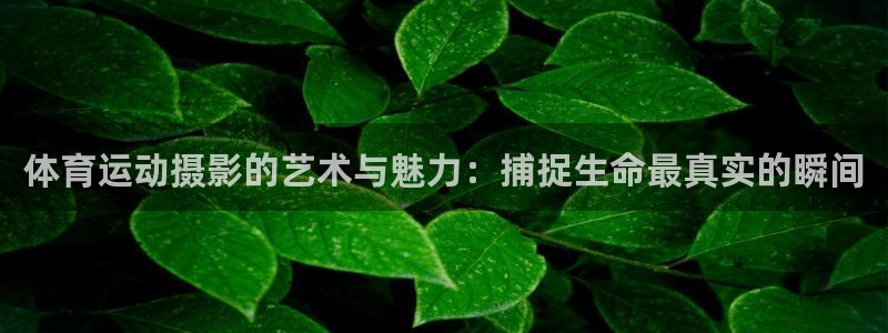 JJB竞技宝官网下载招商电话