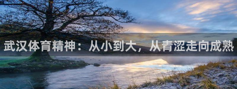 JJB竞技宝官网下载平台注册要钱吗安全吗：武汉体育精