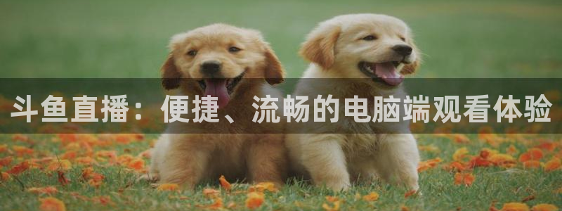 咪咕视频app下载：斗鱼直播：便捷、流畅的电脑端观看体验