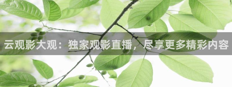 咪咕视频体育频道：云观影大观：独家观影直播，尽享更多精彩内容